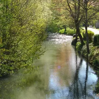 Lien vers la page de la Réserve naturelle (lien interne)